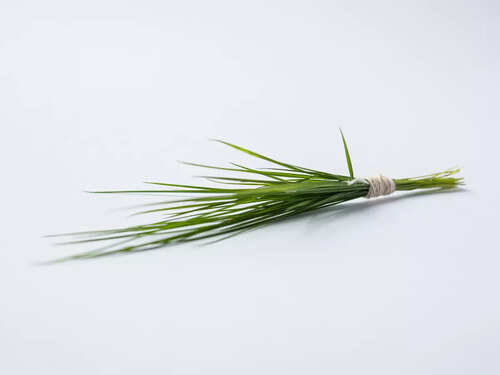 Durva Grass